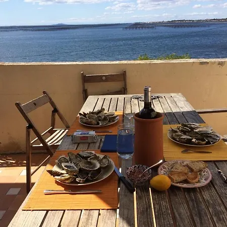 La Maison Bleue Holiday home Bouzigues